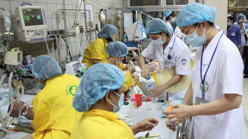 Loạn đầu vào ngành Y