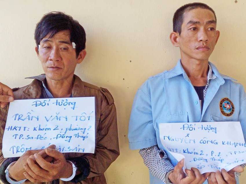 Triệt phá băng cẩu tặc chuyên nghiệp liên tỉnh