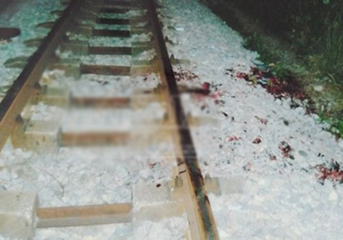 Thuê người chặt tay, chân để trục lợi tiền bảo hiểm