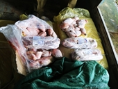 Lào Cai bắt giữ hơn 1 tấn thịt bò và nội tạng động vật nhập lậu quá đát