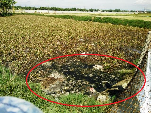 Lò mổ, trại lợn đầu độc khu dân cư, nhà chức trách loay hoay giải quyết