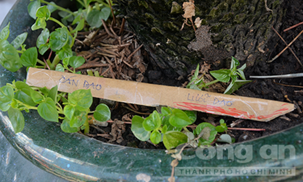 Con đâm chết cha dượng ở Sài Gòn