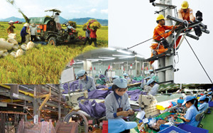 Sẽ tổng điều tra kinh tế Việt Nam từ 1 3 2017