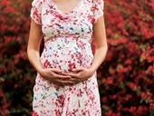Buồng trứng nhân tạo - Hy vọng mới cho phụ nữ vô sinh và muốn trì hoãn mãn kinh