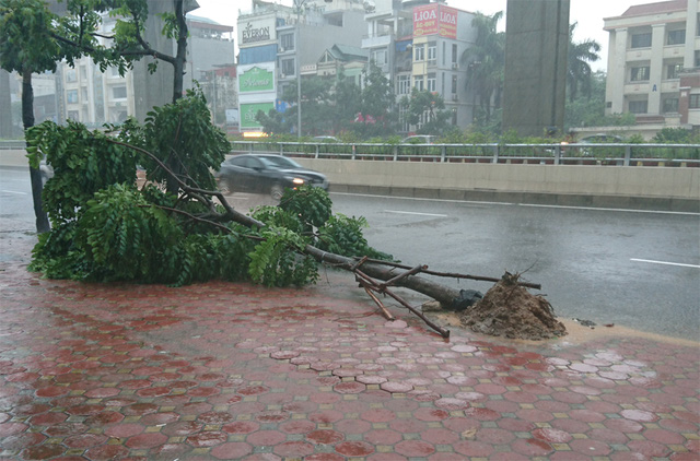  Ngày mai, 5/10, Hà Nội có mưa rào và giông (Ảnh minhh họa: Nguyễn Dương).