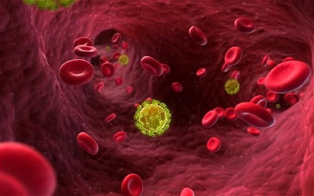  Virút HIV trong máu - Ảnh: AFP