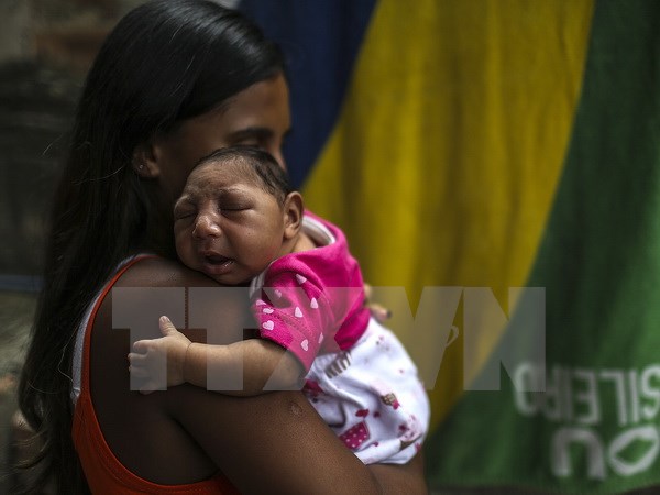 Bằng chứng về mối quan hệ virus Zika và hội chứng Guillain Barre