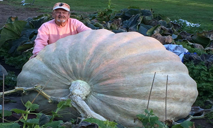 Một nông dân ở bang Rhode Island, Mỹ, lập kỷ lục mới trong cuộc thi trồng bí ngô với quả bí nặng 1.025 kg.