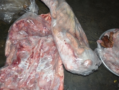 Phát hiện gần 700 kg thịt heo hôi thối chuẩn bị đưa đi tiêu thụ