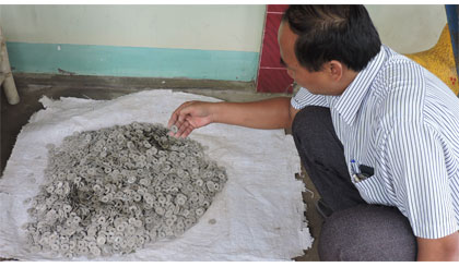 Phát hiện tiền cổ thời nhà Nguyễn