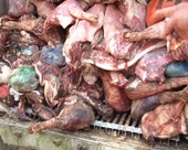 Bắt giữ gần 10 tấn thịt lợn ốm chết bốc mùi hôi thối