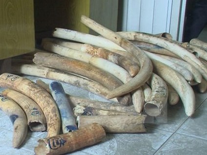 Cam go chống buôn lậu qua đường hàng không