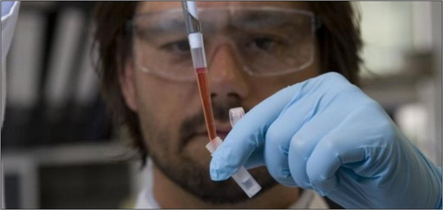 Chuột sinh ra từ trứng nhân tạo