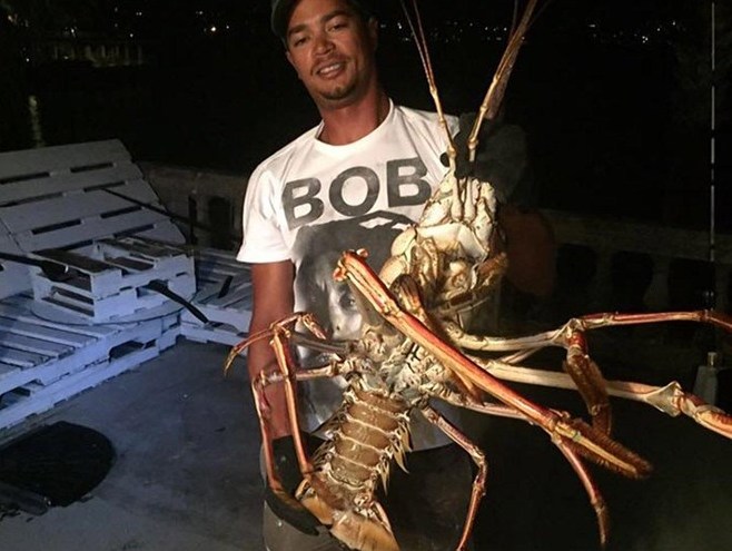 Ngư dân choáng váng khi bắt được con tôm hùm khổng lồ