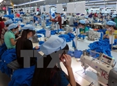 Hơn 5 000 dòng thuế về 0 khi FTA Việt Nam-EAEU có hiệu lực