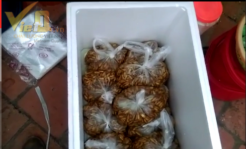 Phát hiện sốc Nhộng tằm thâm đen ngâm hoá chất thành vàng óng