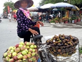 Hoa quả Trung Quốc khoác áo hàng Việt