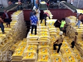 Gạo Thái Lan xuống thấp kỷ lục, Chính phủ quyết định trợ giá