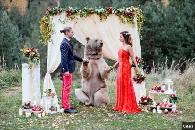  Chú gấu Stepan đang cử hành hôn lễ cho Denis và Nelya