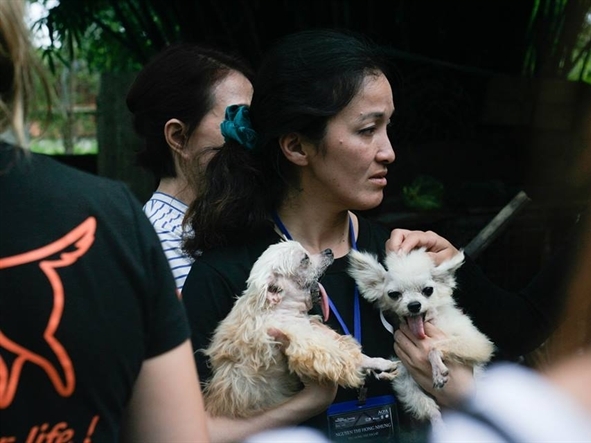 Việt Nam tiêu thụ 5 triệu con chó mỗi năm