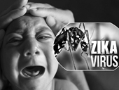 WHO tuyên bố tình trạng khẩn cấp dịch virus Zika