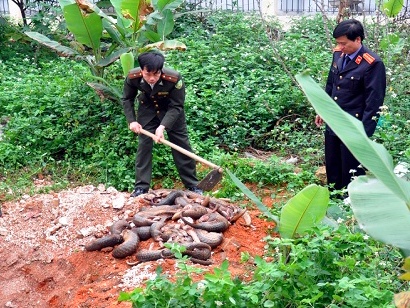 tố 2 đối tượng vận chuyển tê tê trái phép