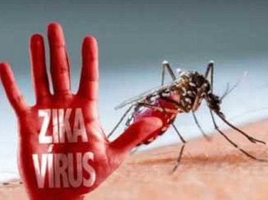 Số người Sài Gòn nhiễm virus Zika tăng lên 46