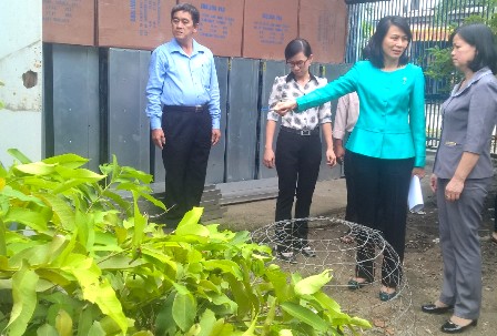 TPHCM Nạn nhân của vi rút Zika rải đều ở 5 quận