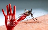 TPHCM Số người nhiễm Zika mỗi ngày một leo thang