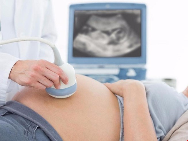 TP HCM Zika đã xuất hiện ở 17 quận huyện, 69 ca nhiễm bệnh