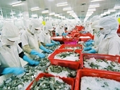 Nâng cao thế cạnh tranh cho ngành tôm Việt Nam