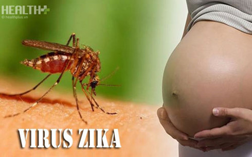 Số người nhiễm Zika ở TP HCM đã lên tới 79
