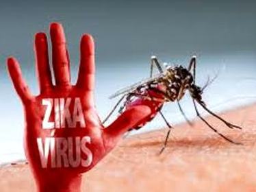 TPHCM 80 số quận huyện bị vi rút Zika tấn công