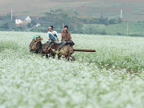Đêm nay miền Bắc có nơi 6 độ C