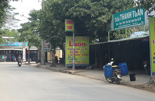 Can cãi nhau, cô gái bị giang hồ truy tìm bắn xuyên chân