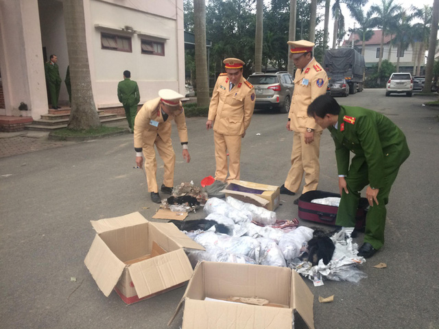 Khởi tố nhóm đối tượng vận chuyển 12 cá thể vọoc