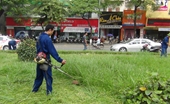 Hà Nội ấn định cụ thể số lần cắt cỏ, tưới nước cho cỏ