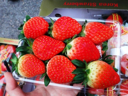 Hơn nửa triệu đồng một kg dâu tây Hàn Quốc