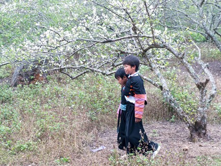 Cao nguyên Mộc Châu - Điểm hẹn của du khách và nhà đầu tư