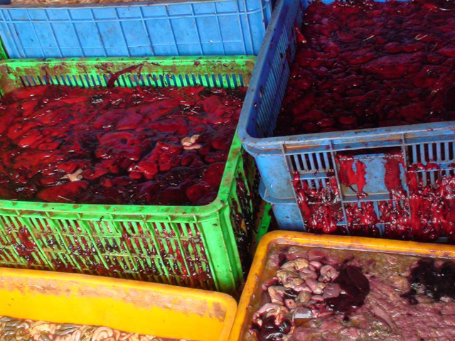 Bắt quả tang 5 tấn tiết, nội tạng thối chuẩn bị đổ xuống sông Đồng Nai