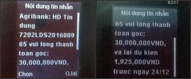  Tin nhắn V.T.T nhận được từ Agribank. Ảnh: NVCC.