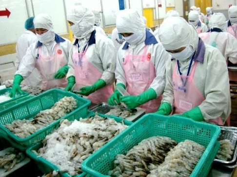 Nhiều doanh nghiệp thủy sản bị lừa hàng trăm nghìn USD