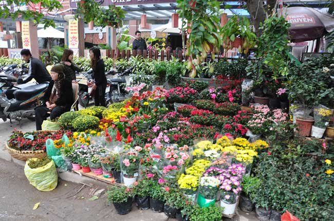 Chợ hoa Hoàng Hoa Thám