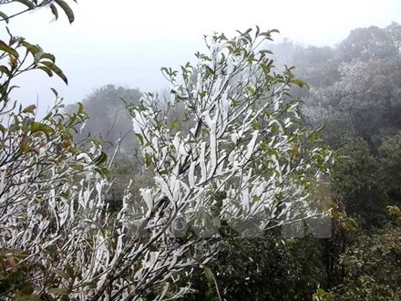 Miền Bắc có thể xuất hiện băng giá, Mẫu Sơn rét 2 độ C