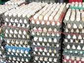 TP HCM triển khai đề án truy xuất nguồn gốc thịt gà và trứng gia cầm