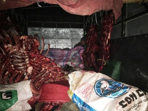 Hai ngày bắt giữ gần 3 tấn thịt, nội tạng động vật bốc mùi hôi thối