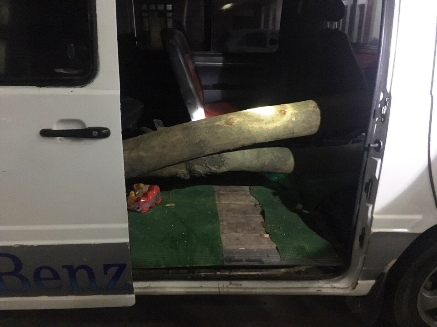 CSGT phát hiện, thu giữ gỗ sưa giấu trong xe ô tô