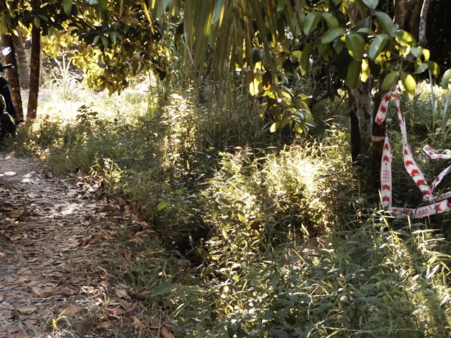 Nghi phạm giết, hiếp bé gái 10 tuổi là nam sinh lớp 12