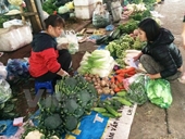 Thời tiết nắng ấm sau Tết khiến giá rau xanh rớt mạnh tại Hà Nội