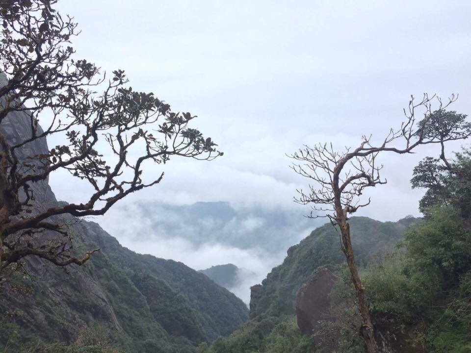 khung cảnh thiên nhiên núi rừng 